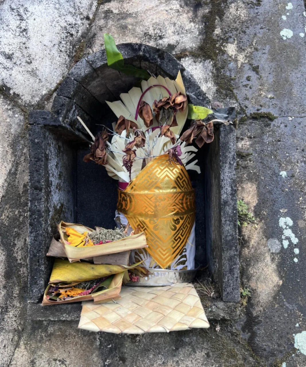 Ofrendas en los altares de las casas