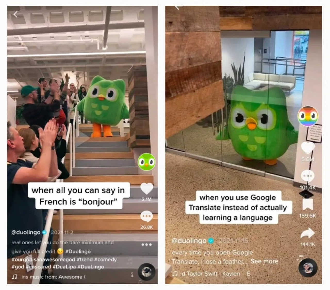 Contenido de Duolingo