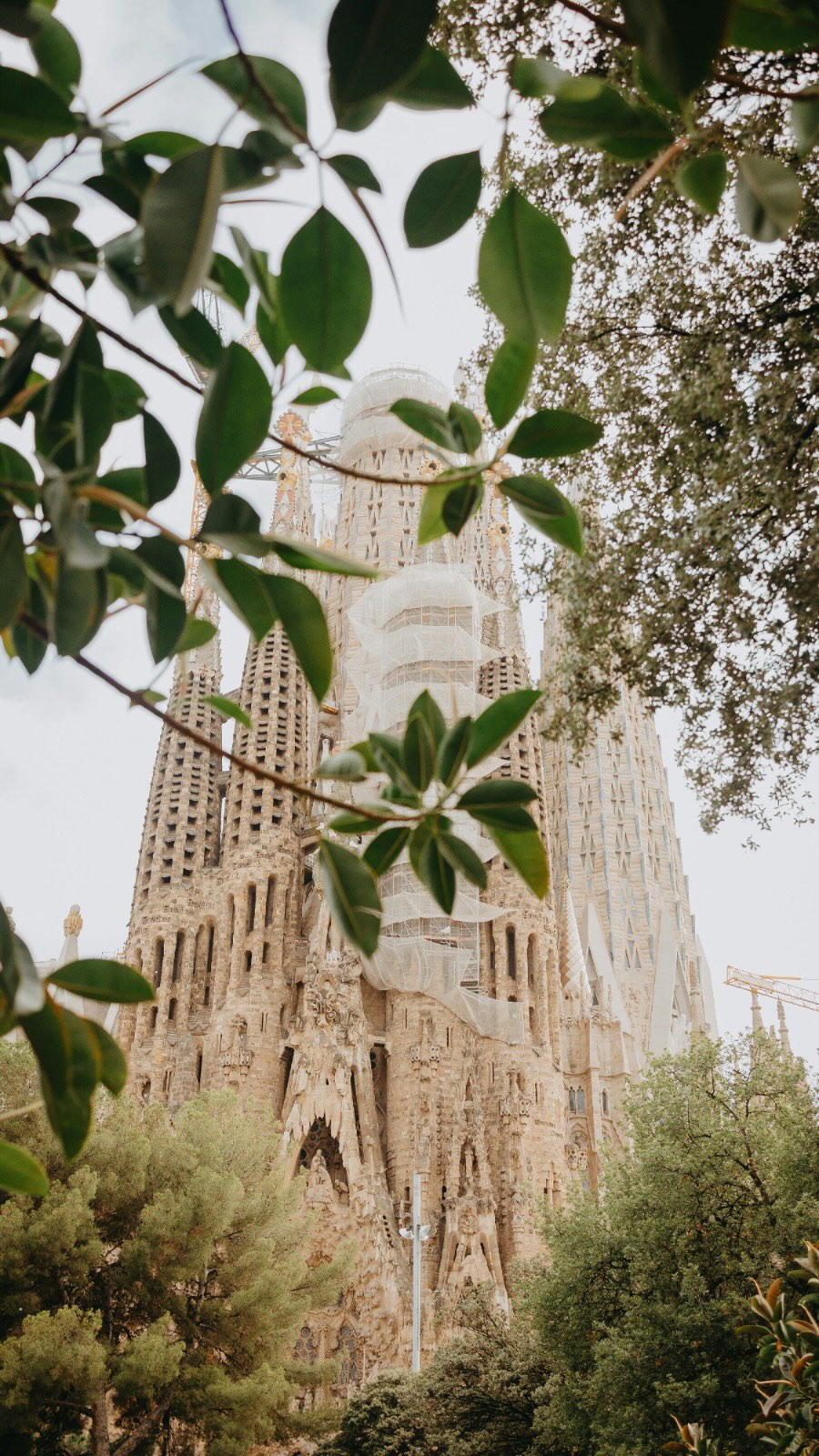 Fotografía de contenido de ILUNION Hotels creada por Brandcrops